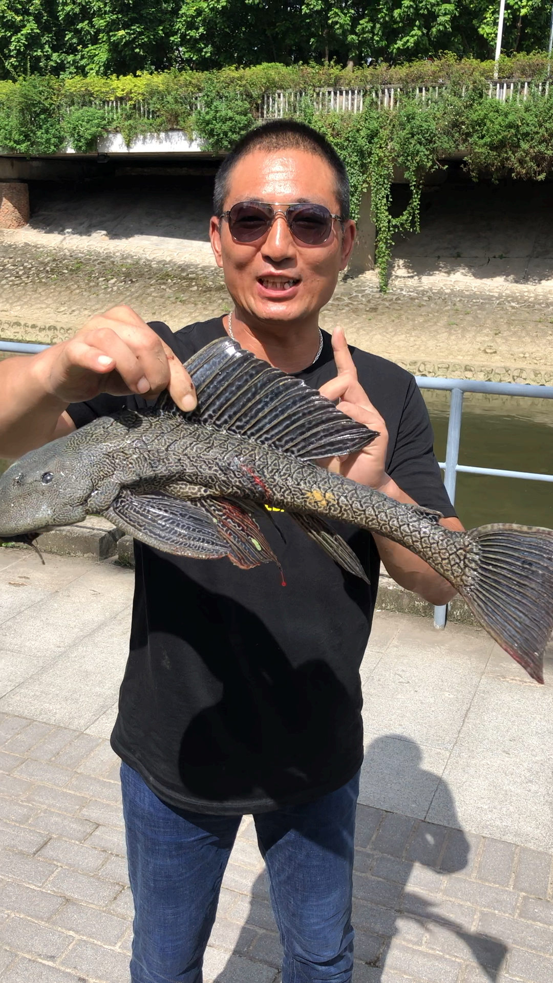 史上最大的一条清道夫