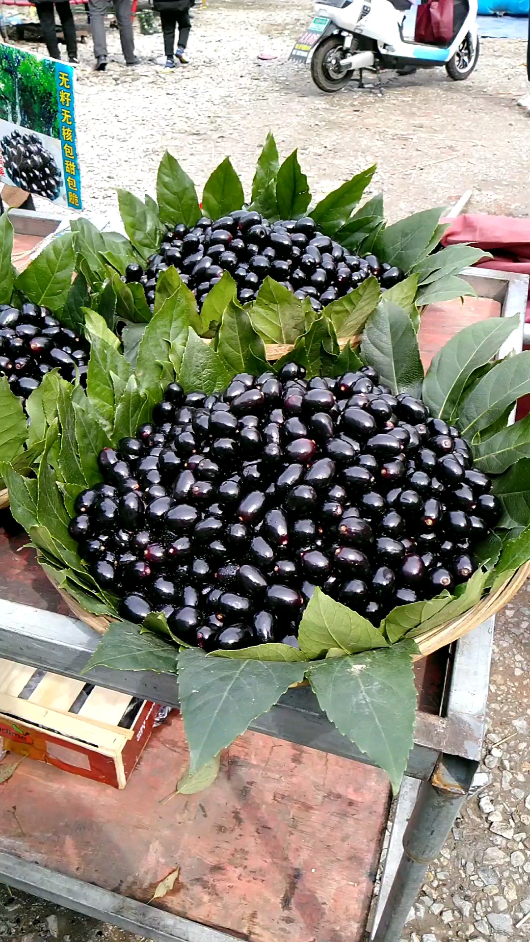 令人垂涎欲滴的乌梅果