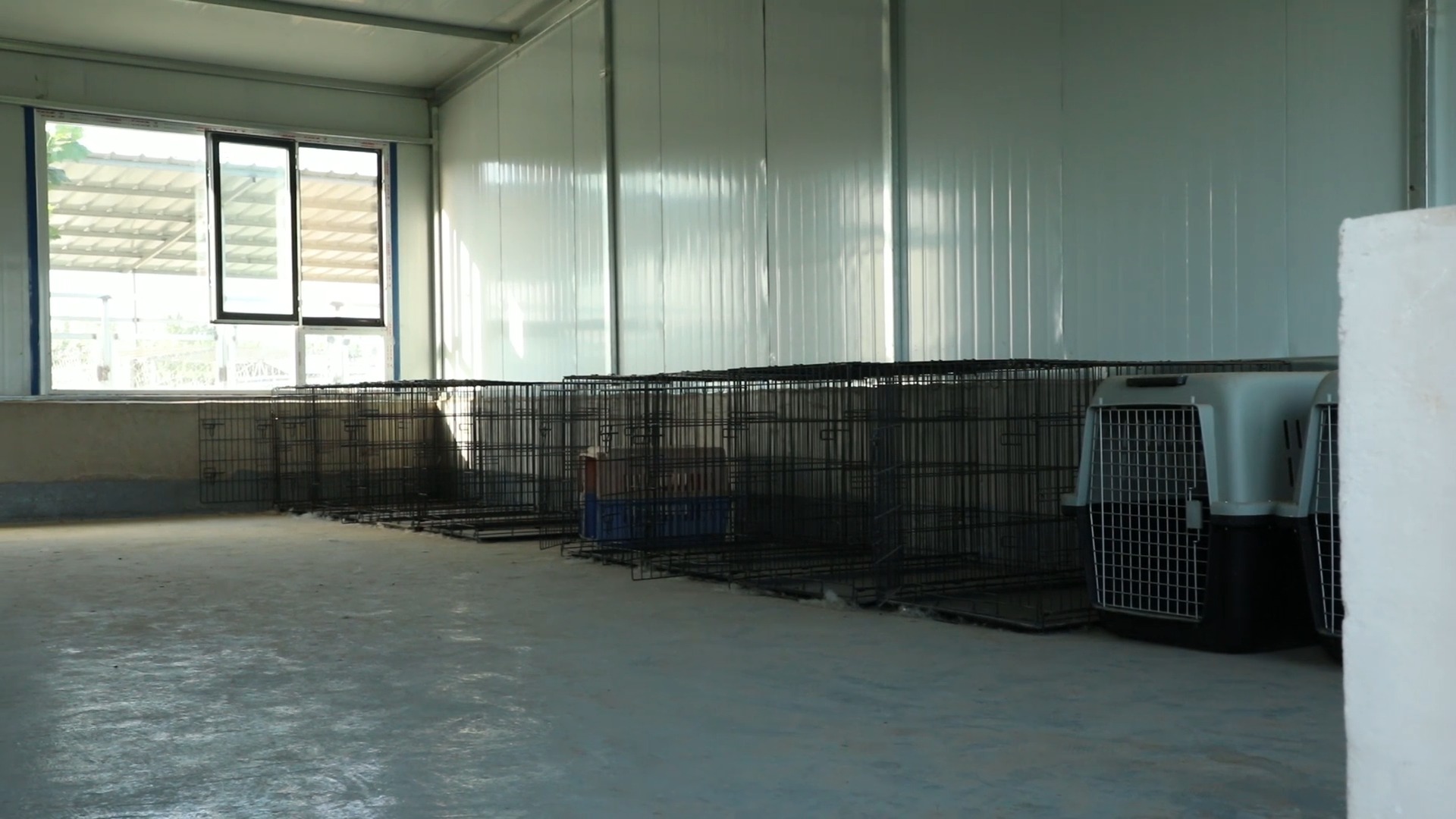 犬舍建设#养犬兄妹的犬舍初见模样,这样的犬舍环境你觉得怎么样?