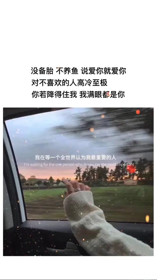 养鱼,说爱你就爱你,对不喜欢的人高冷至极,你若降得住我 我满眼都是你