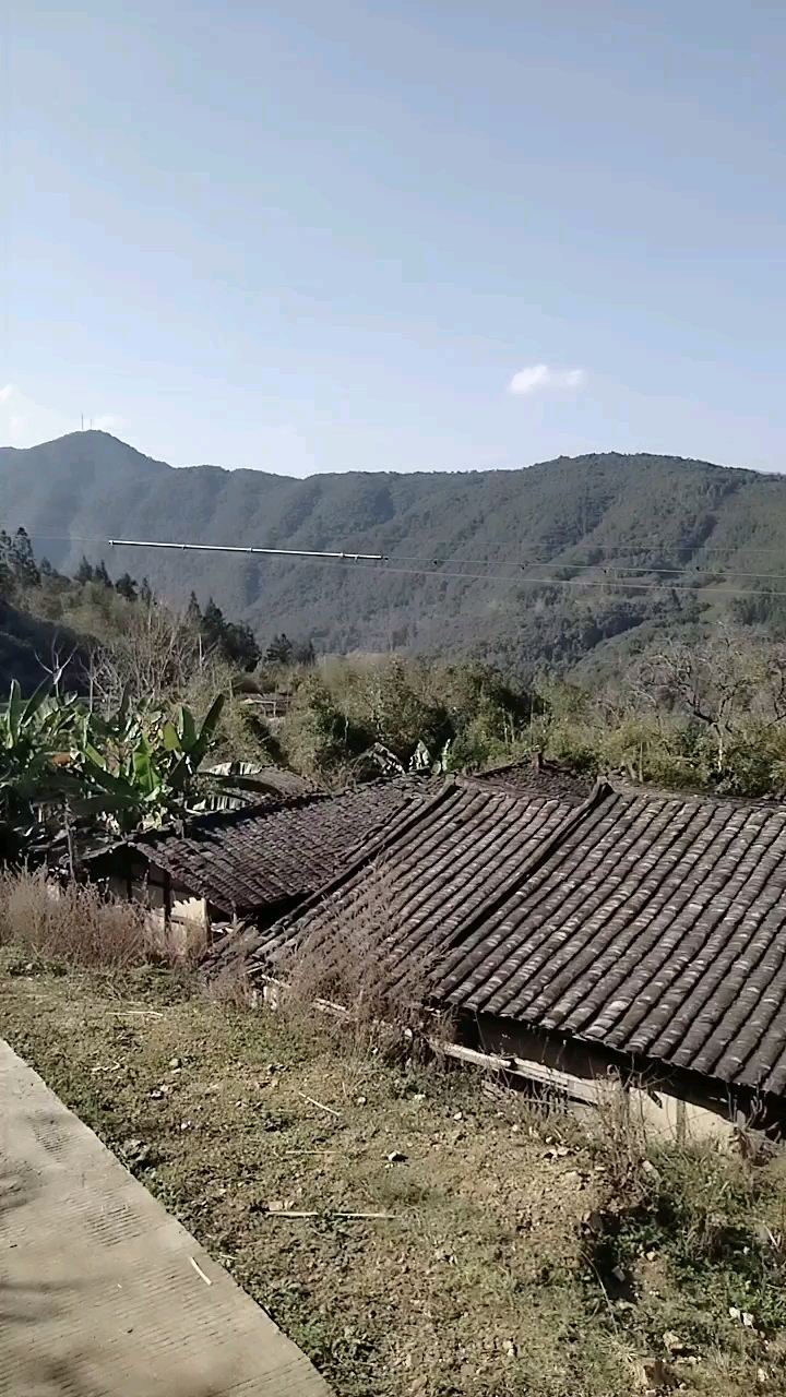 福建农村风景.
