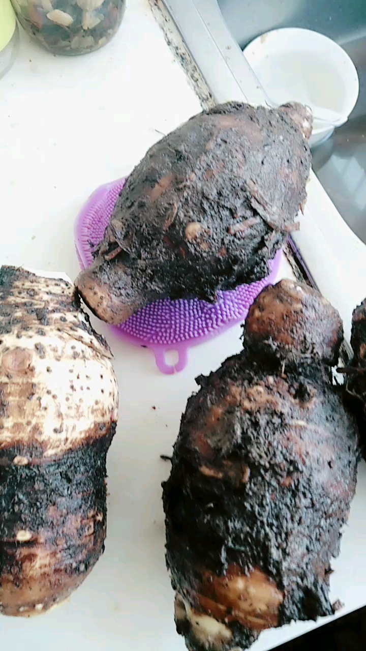 大个芋头滘在泥里有点长芽了,能不能吃呢?