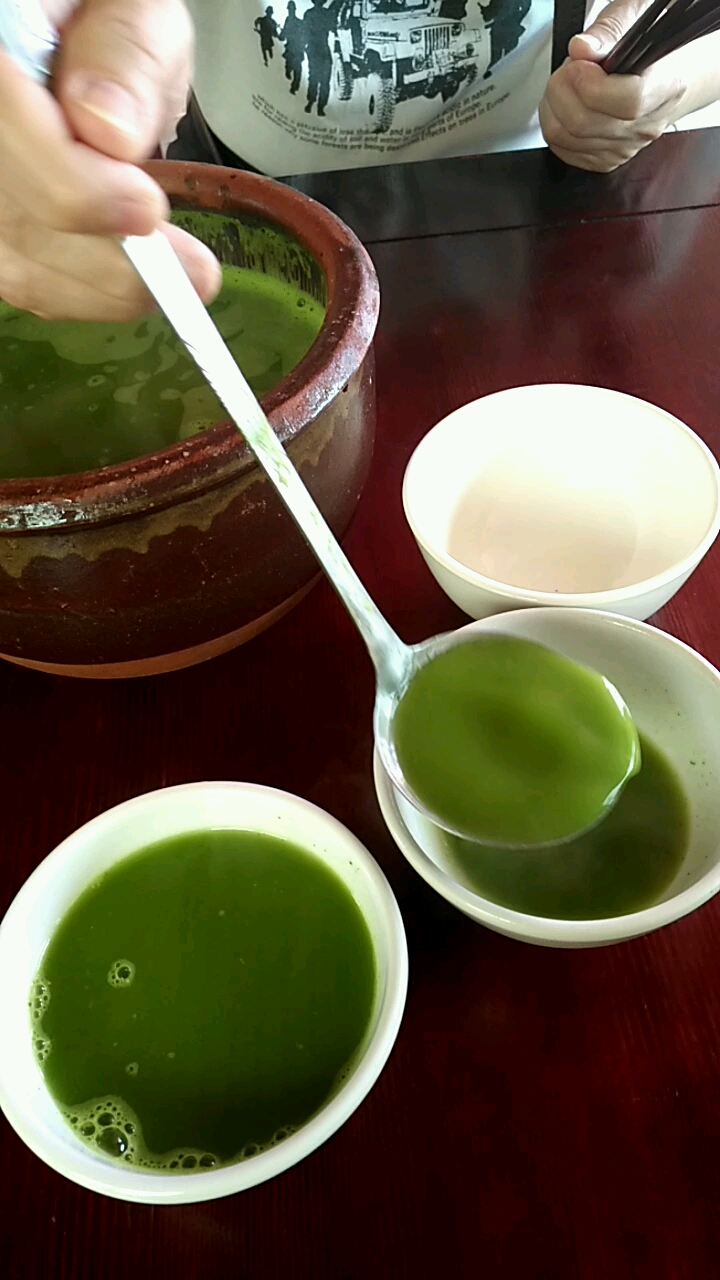 音为有你#陆河油茶