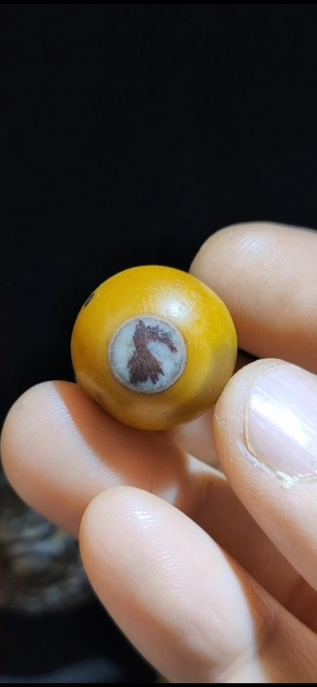 战国红玛瑙象形古代将军眼石圆珠转运珠-度小视