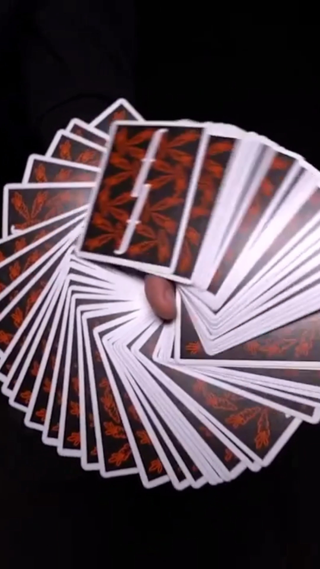 纸牌花式艺术 - cardistry丨一副牌,一双手,也能燃爆你的眼球!