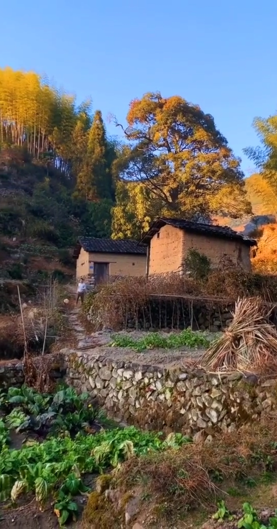 宁静的小山村.