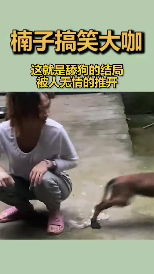 这就是舔狗的结局,被人无情的推开