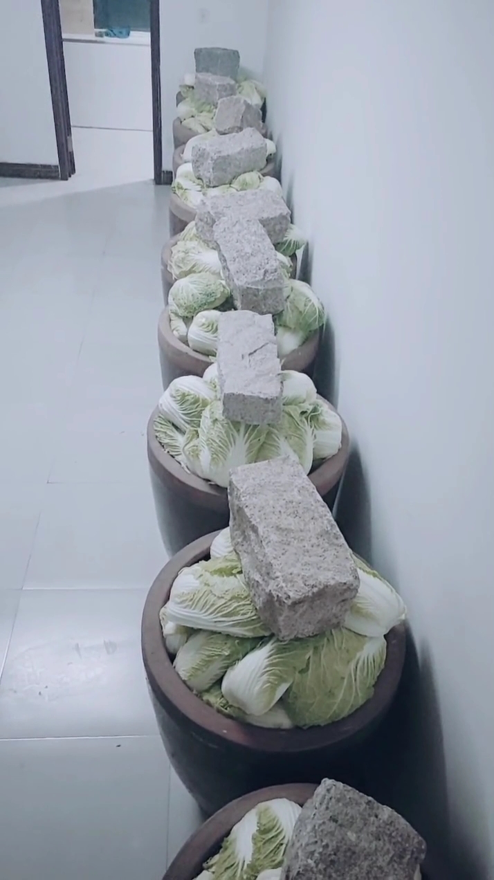 腌酸菜小妙招.#正宗东北大缸酸菜.