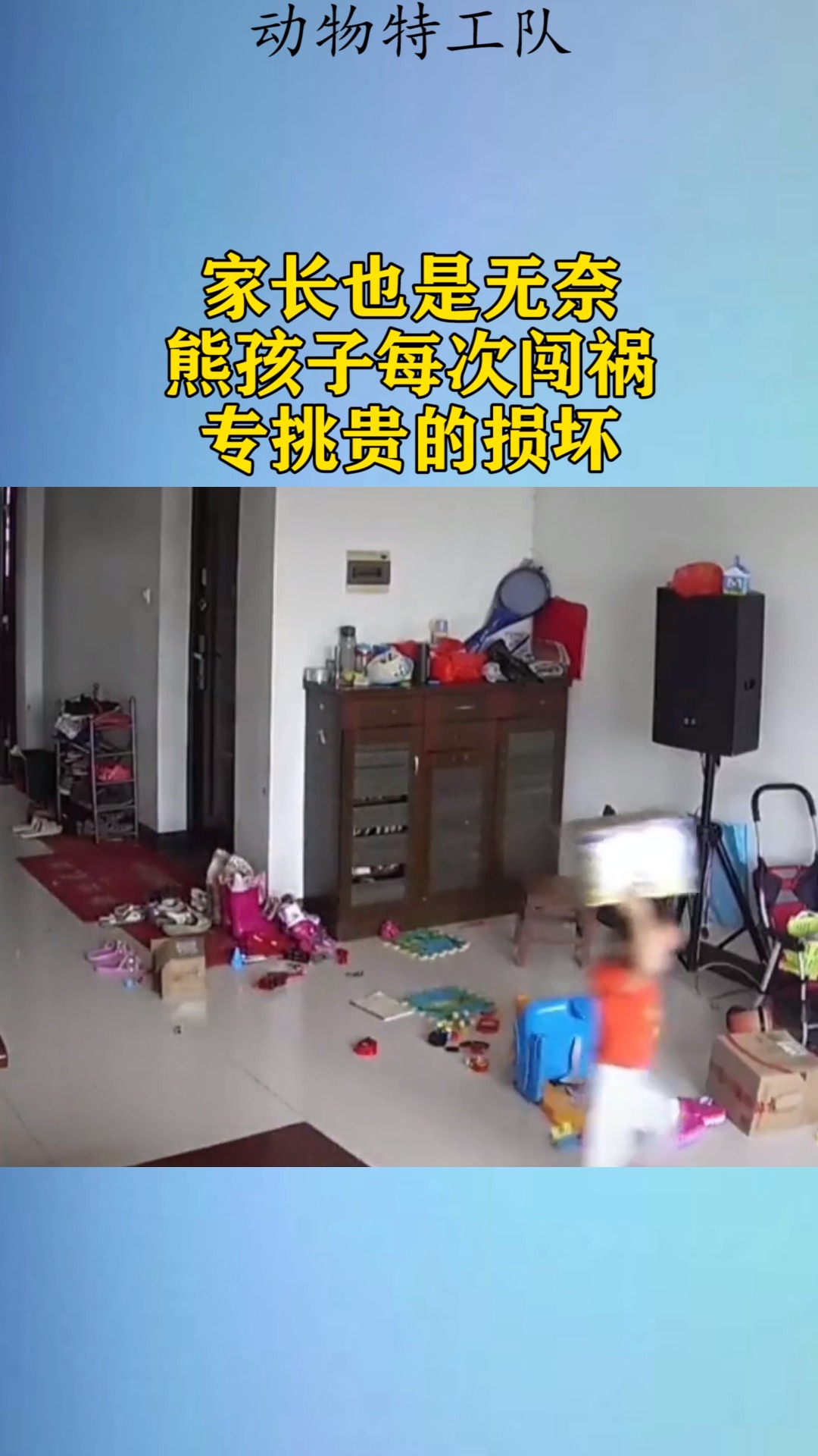 我要上热门#家长也是无奈,熊孩子每次闯祸,专挑贵的损坏!