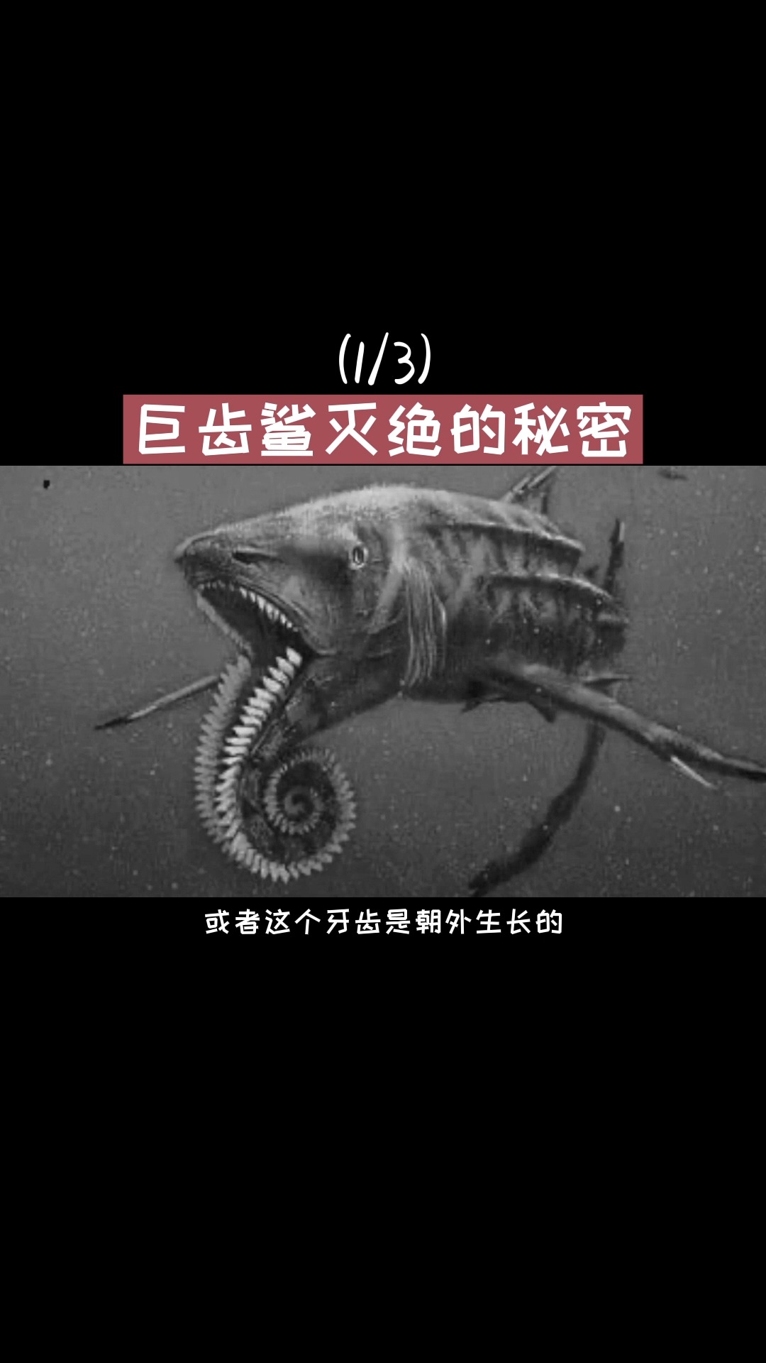 海底世界#深海到底隐藏了多少秘密史前海怪(13)