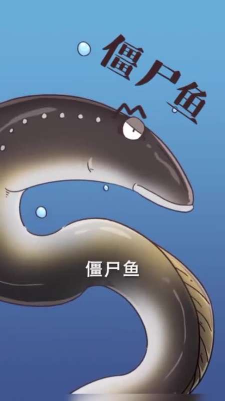 上热门#你敢吃"僵尸"鱼吗