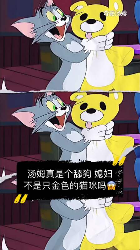 第七十四集汤姆真是个舔gou媳妇不是只金色的猫咪吗