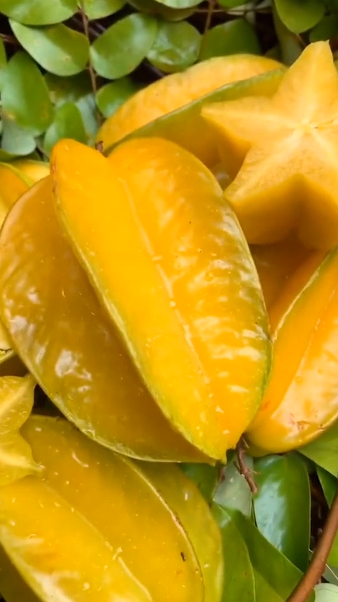 美食记#好吃的杨桃