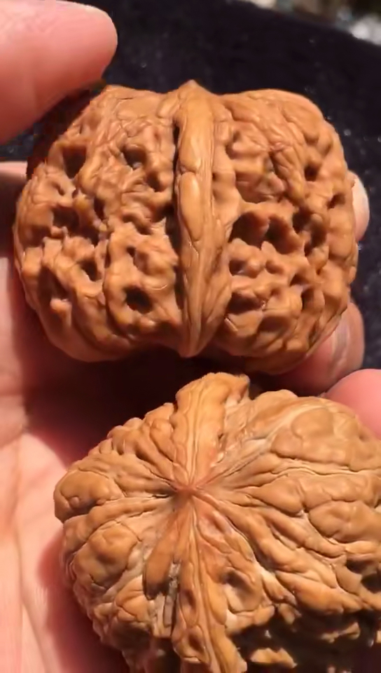 文玩核桃#巨饱满的大闷墩