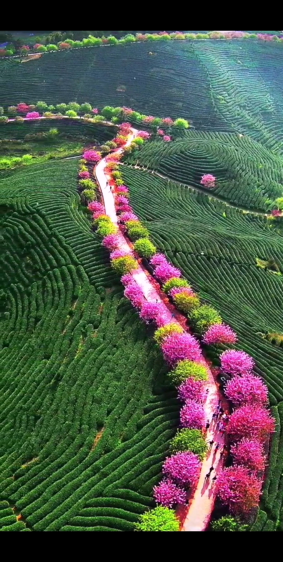 旅行#云南省普洱市景东彝族自治县西部,好美的山间小路不一样的风景