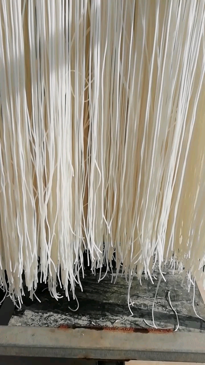 甘肃特产#甘肃定西,晒粉条子了