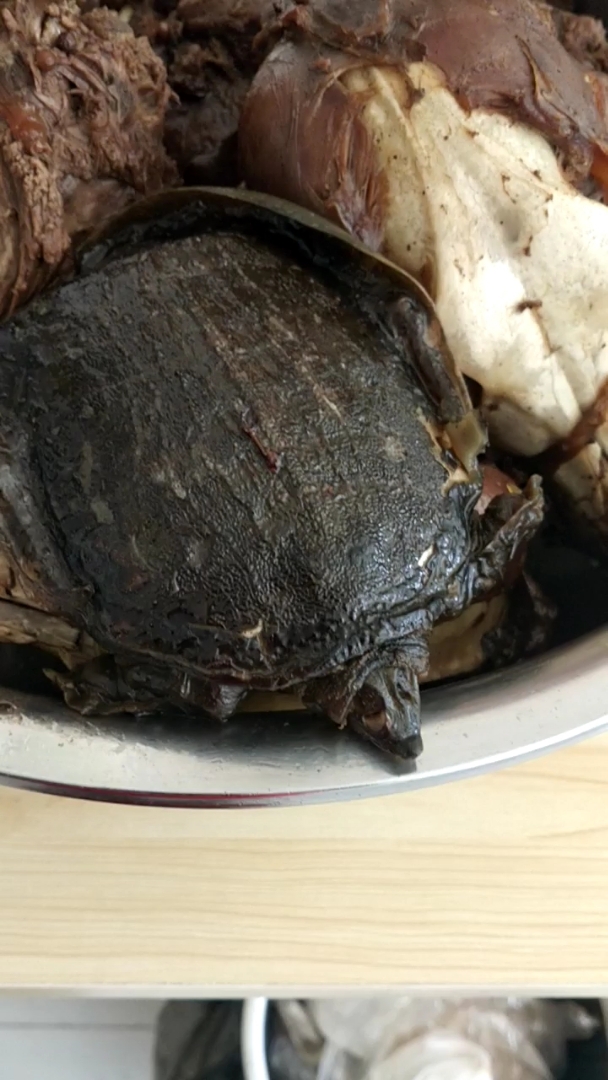 龟汁狗肉,狗肉滚一滚,神仙站不稳