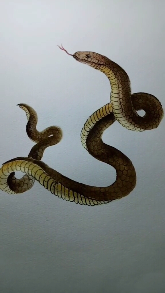 蛇画霸气图片