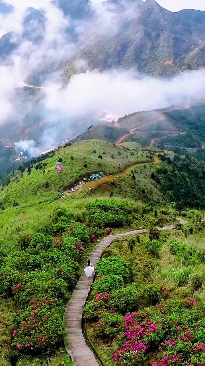 福建平和大芹山,我向你奔赴而來,你就是星辰大海,這很福建,旅行大玩家