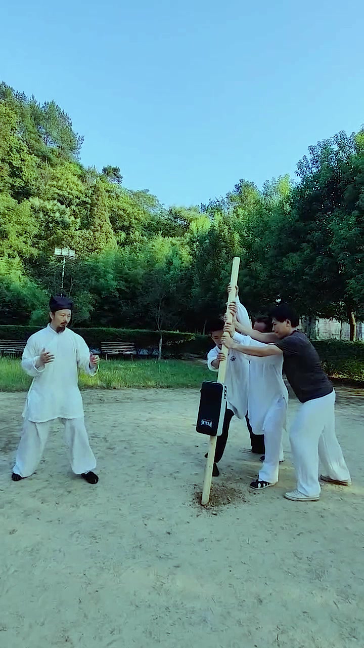 武当道长陈师行,30年内功基础,一脚踢断木棍