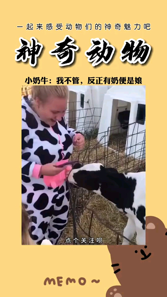 小奶牛:你们人类有句话说得好——有奶便是娘