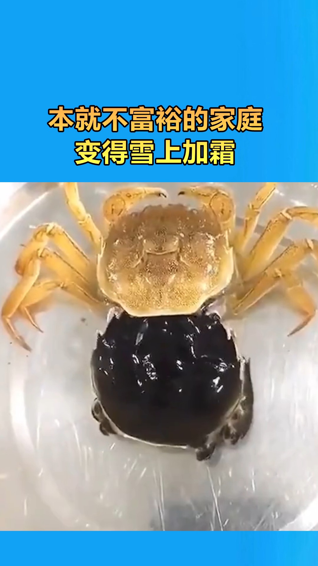 我要上热门