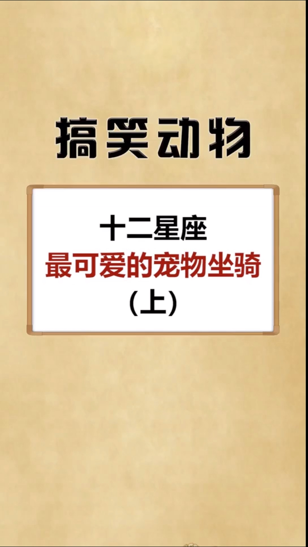 搞笑萌宠#十二星座,最可爱的宠物坐骑(上)