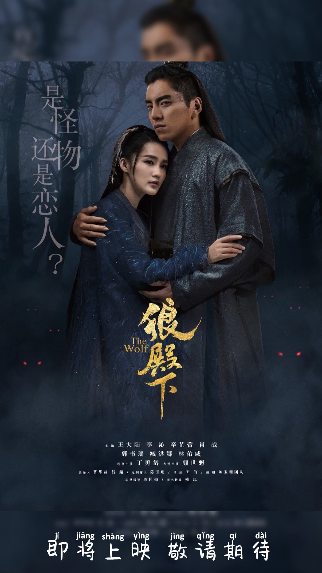 电视剧#《狼殿下》王大陆,李沁,辛芷蕾,肖战等出演的古装侠义言情 ..