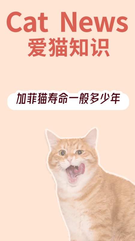 加菲猫加菲猫寿命一般多少年