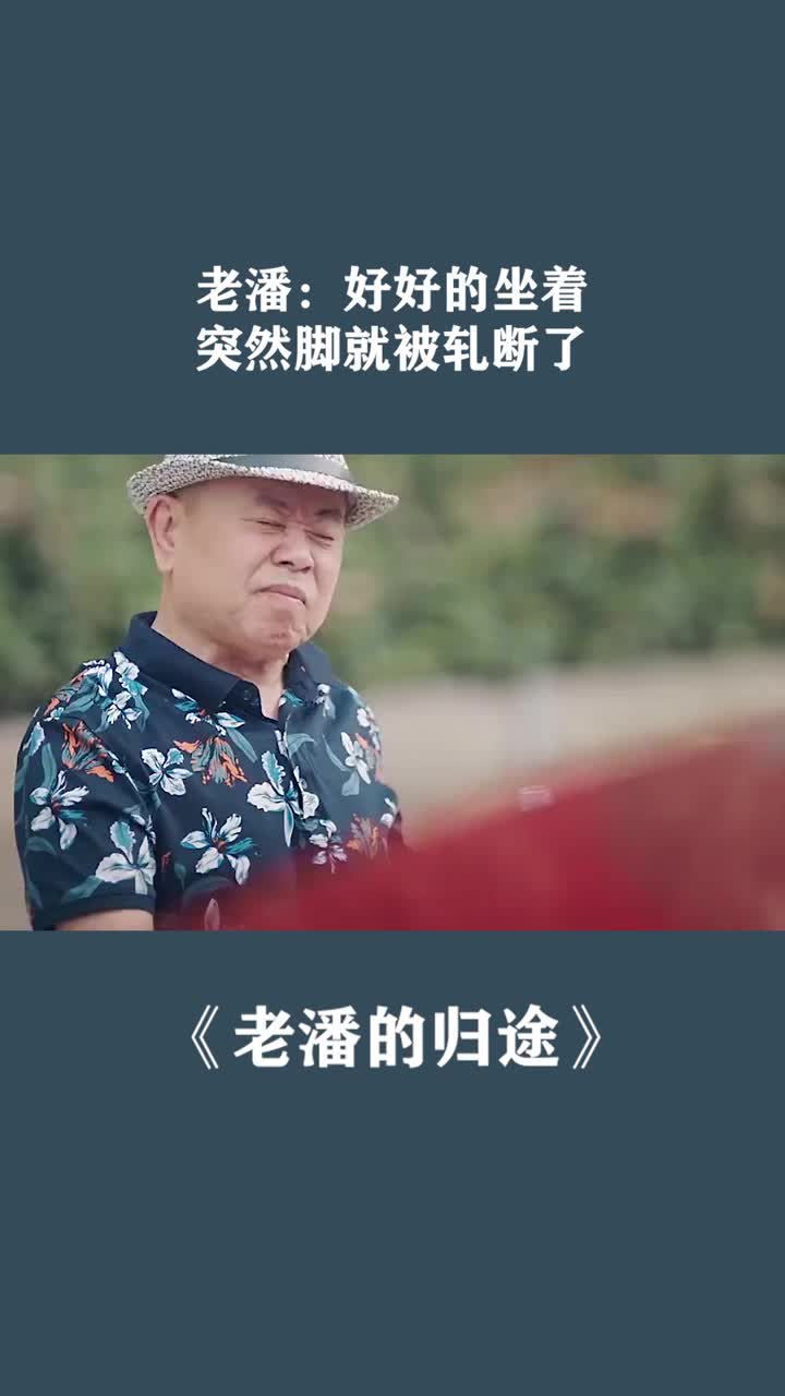 老潘的归途演员介绍图片