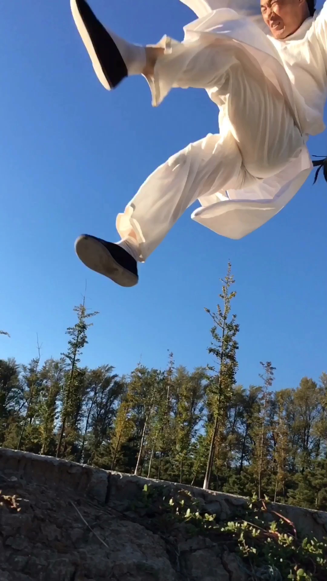 黄飞鸿无影脚了