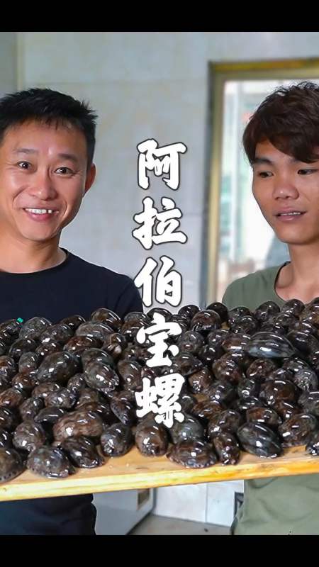 阿拉伯宝螺这么吃太上头了买十斤用芥末当佐料一口一个真解馋乡村新