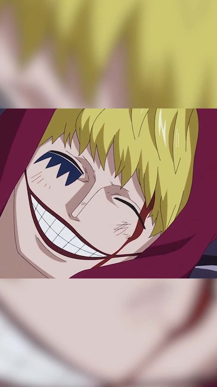 海贼王#"温柔不过柯拉松啊"