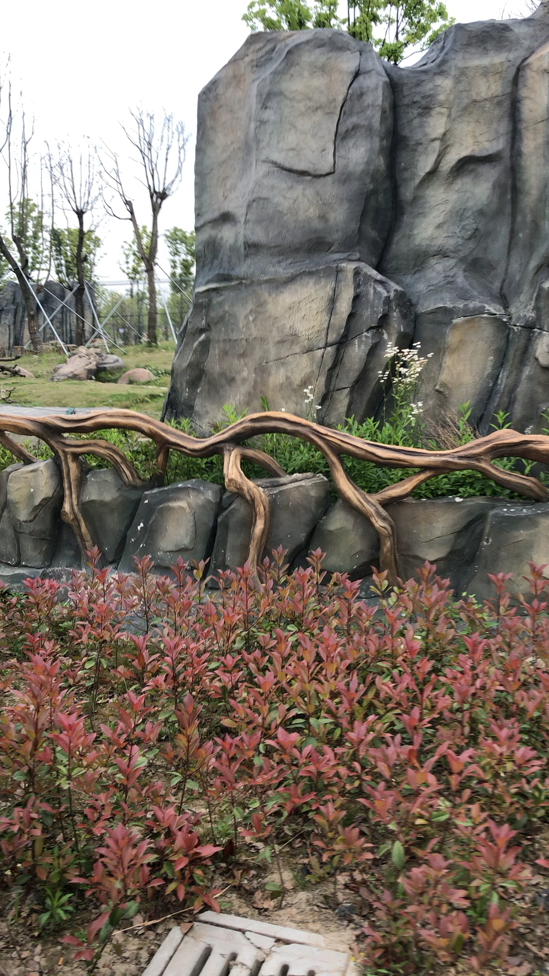 夏天就要这么过#皮皮猴的夏天