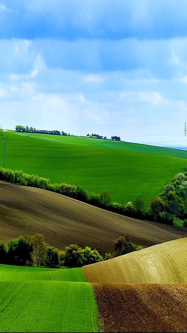感恩,知足,微笑,简单.一直就这样,保持这种轻松愉悦的心情