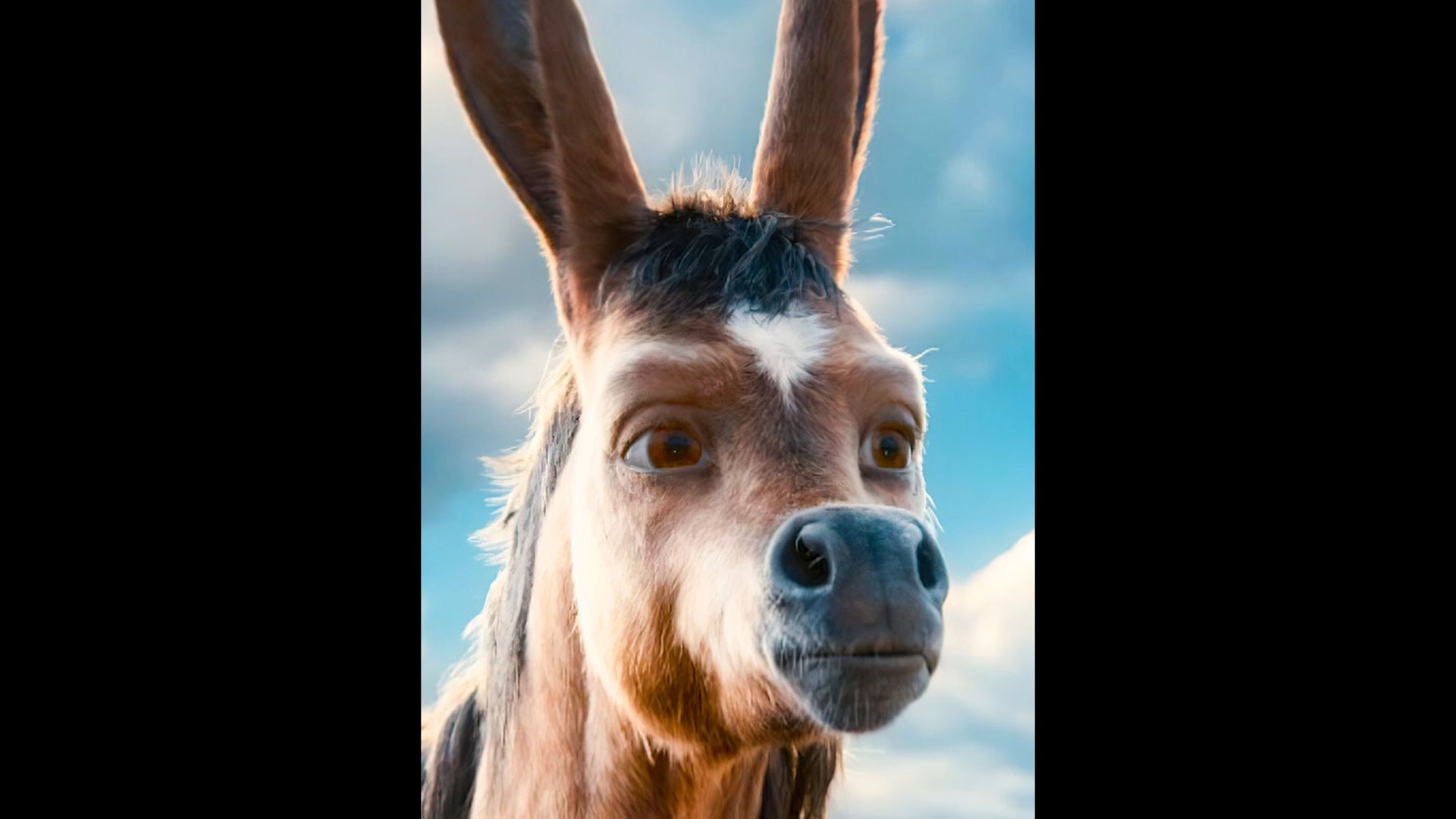 电影解说#小驴意外长出翅膀化身老鹰舍身救主