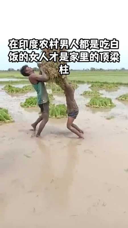 在印度农村男人都是吃白饭的女人才是家里的顶梁柱