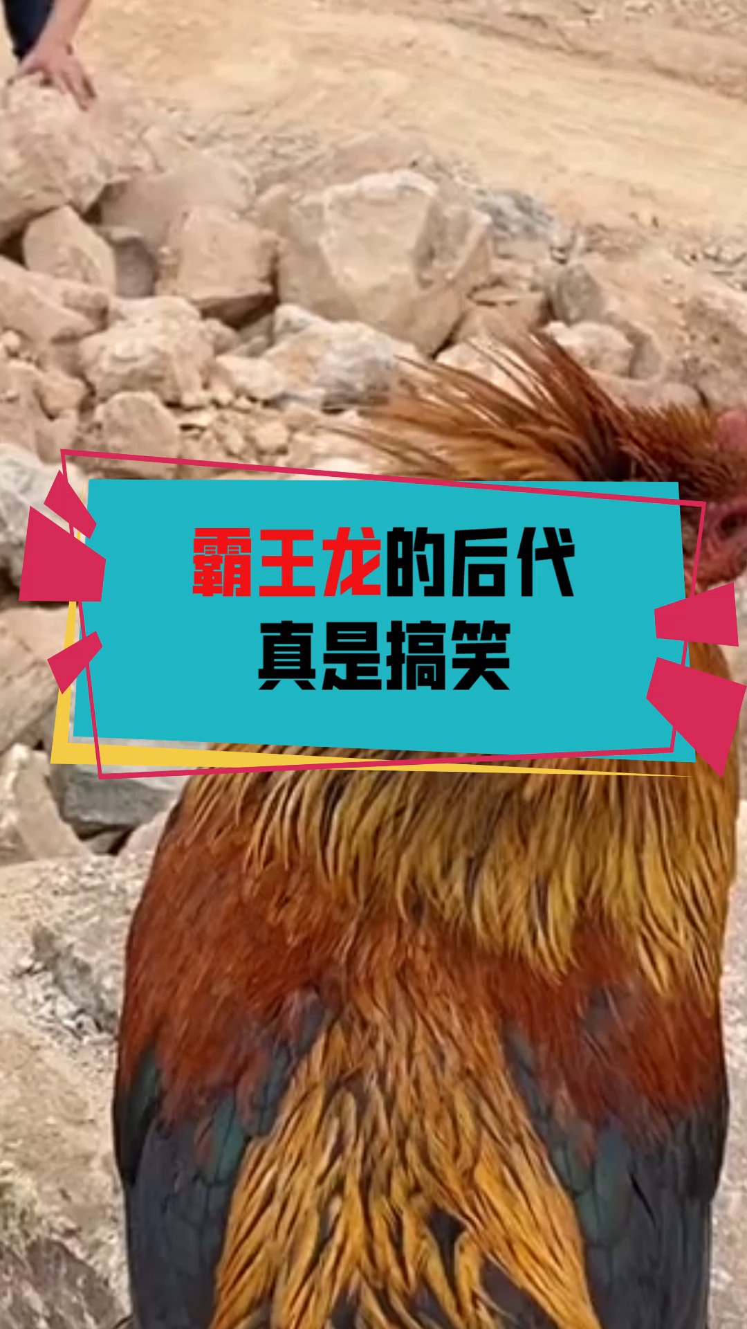 奇闻趣事抢先看#霸王龙的后代真是搞笑