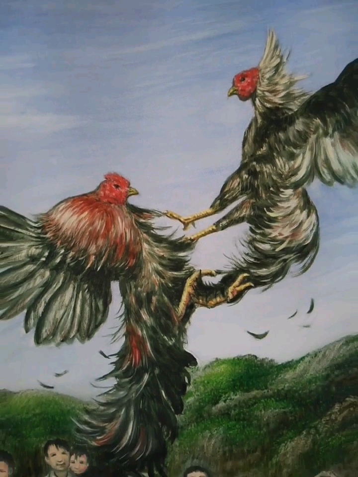 这是高手#油画,斗鸡.