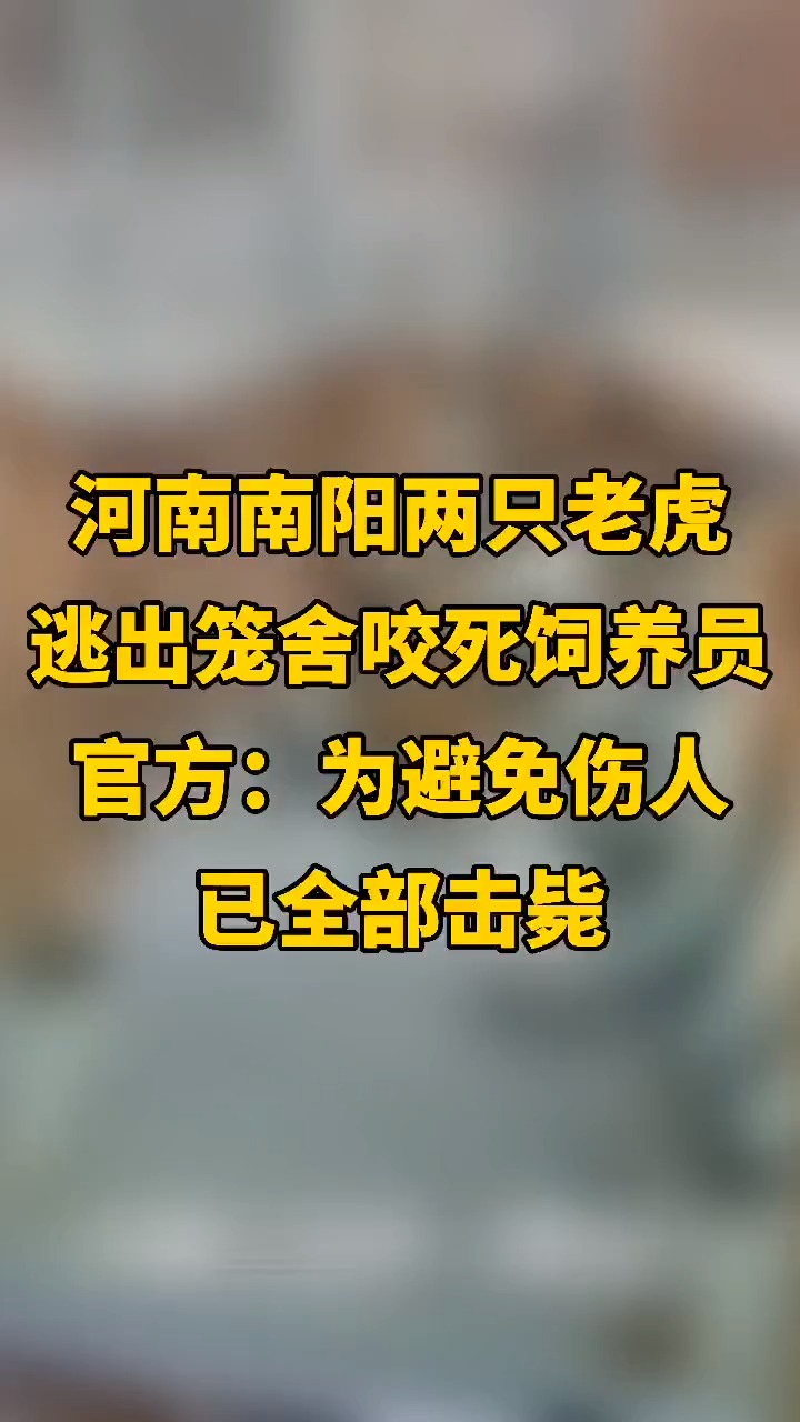 孔雀谷景区两只老虎咬死饲养员出逃,经多次诱捕未果,两只老虎先后被