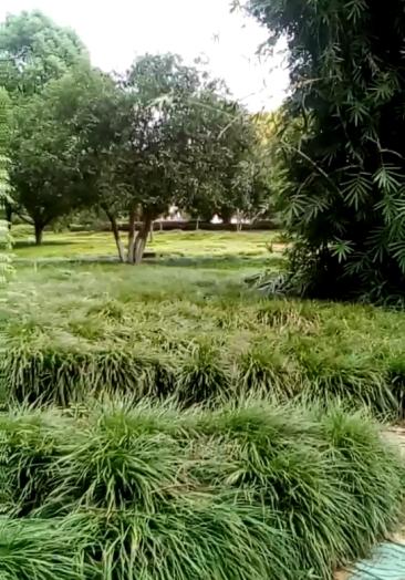 黄山学院找美女真实上门服务微78325220