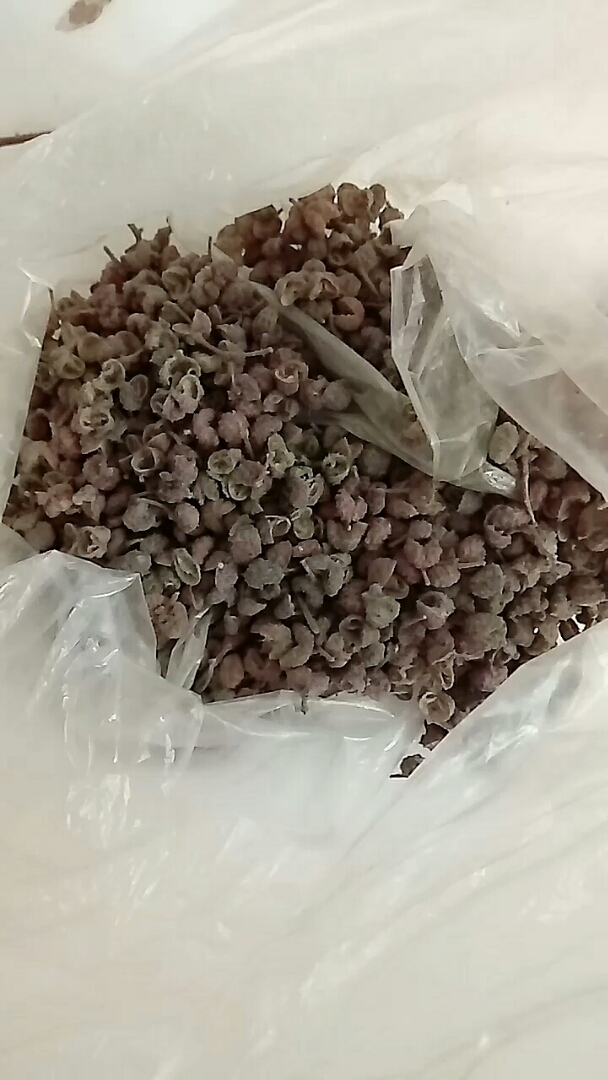 花椒怎样储存才不会容易生霉!-度小视