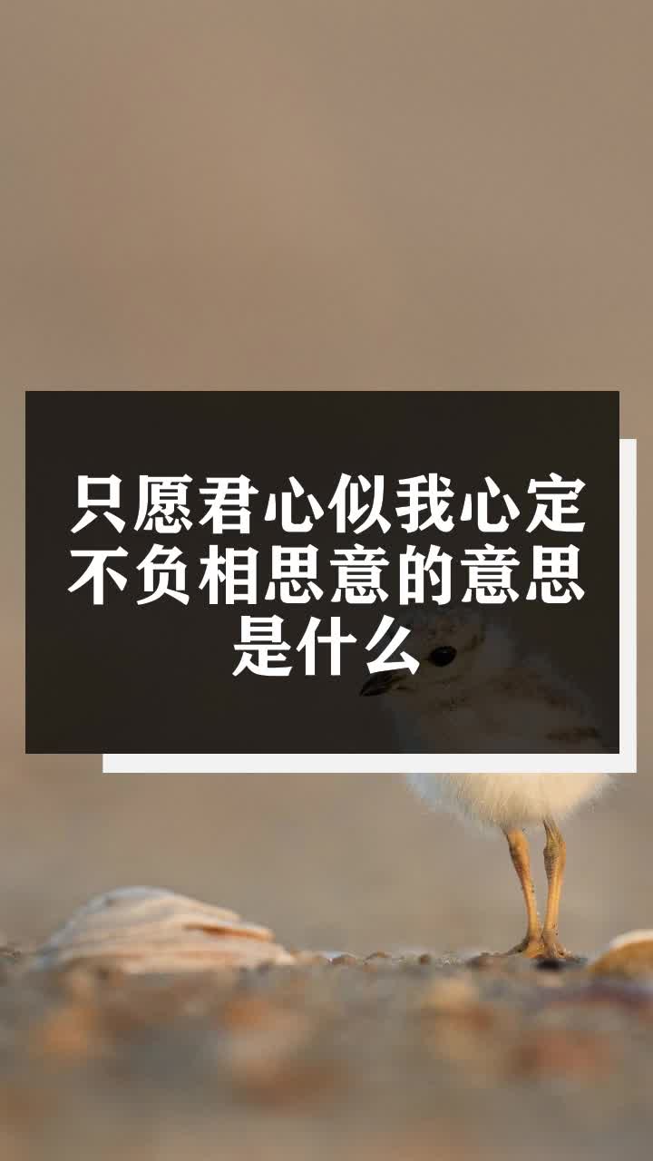 只愿君心似我心定不负相思意的意思是什么