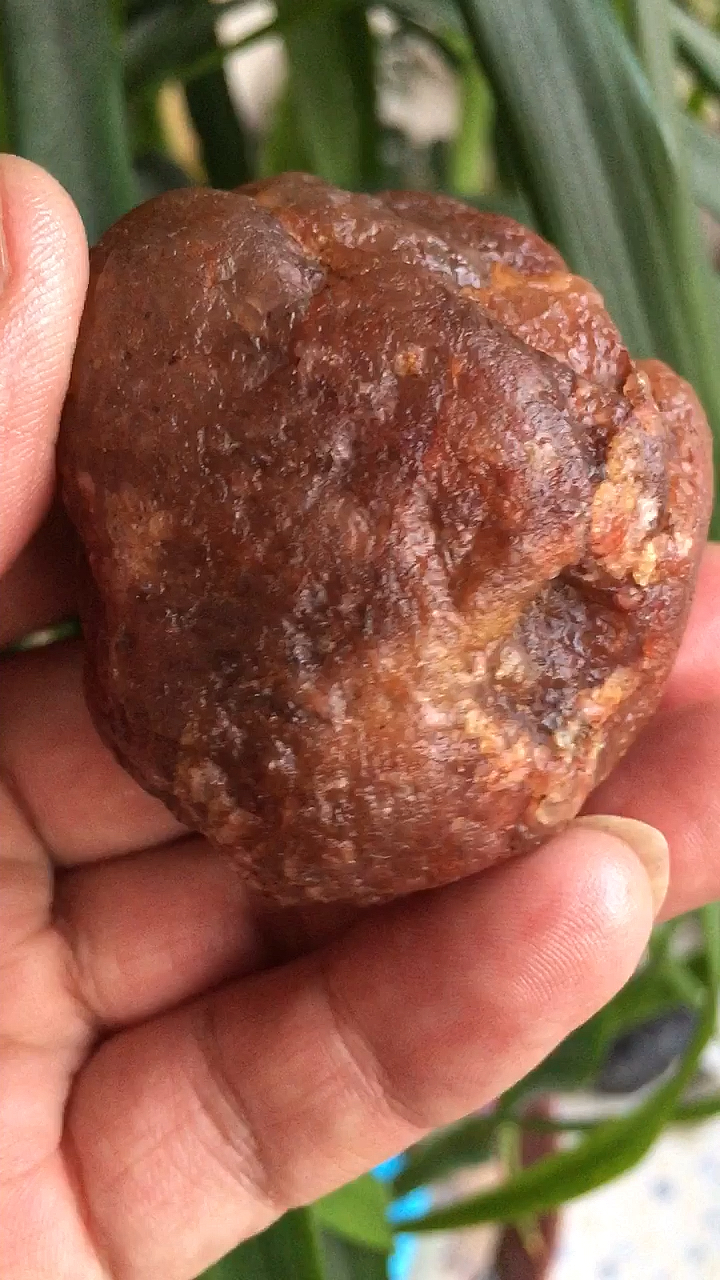 返程行李箱#传说中的玛瑙陨石～-度小视