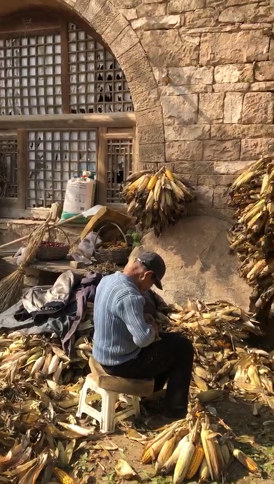 农村老人78岁,还在干活