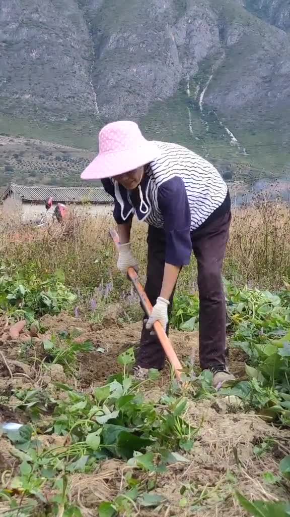 我要上热门#在我们村里,女人干活一点也不比男人差!