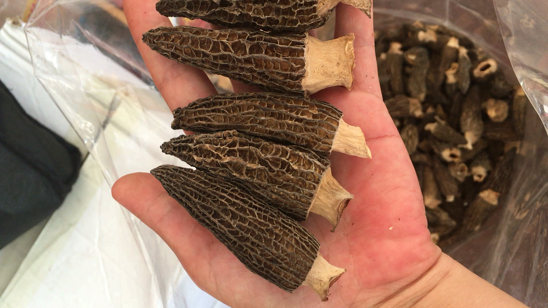 羊肚菌调理脾胃,1岁半以上宝宝都能吃.