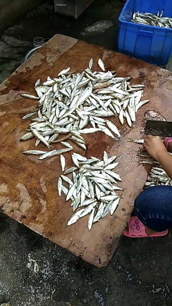 一起割鱼肚子莫咯