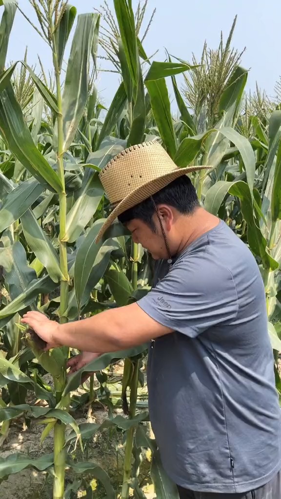 3年过去了,石榴哥一直坚持做品质,不挣快钱,带货口碑4.