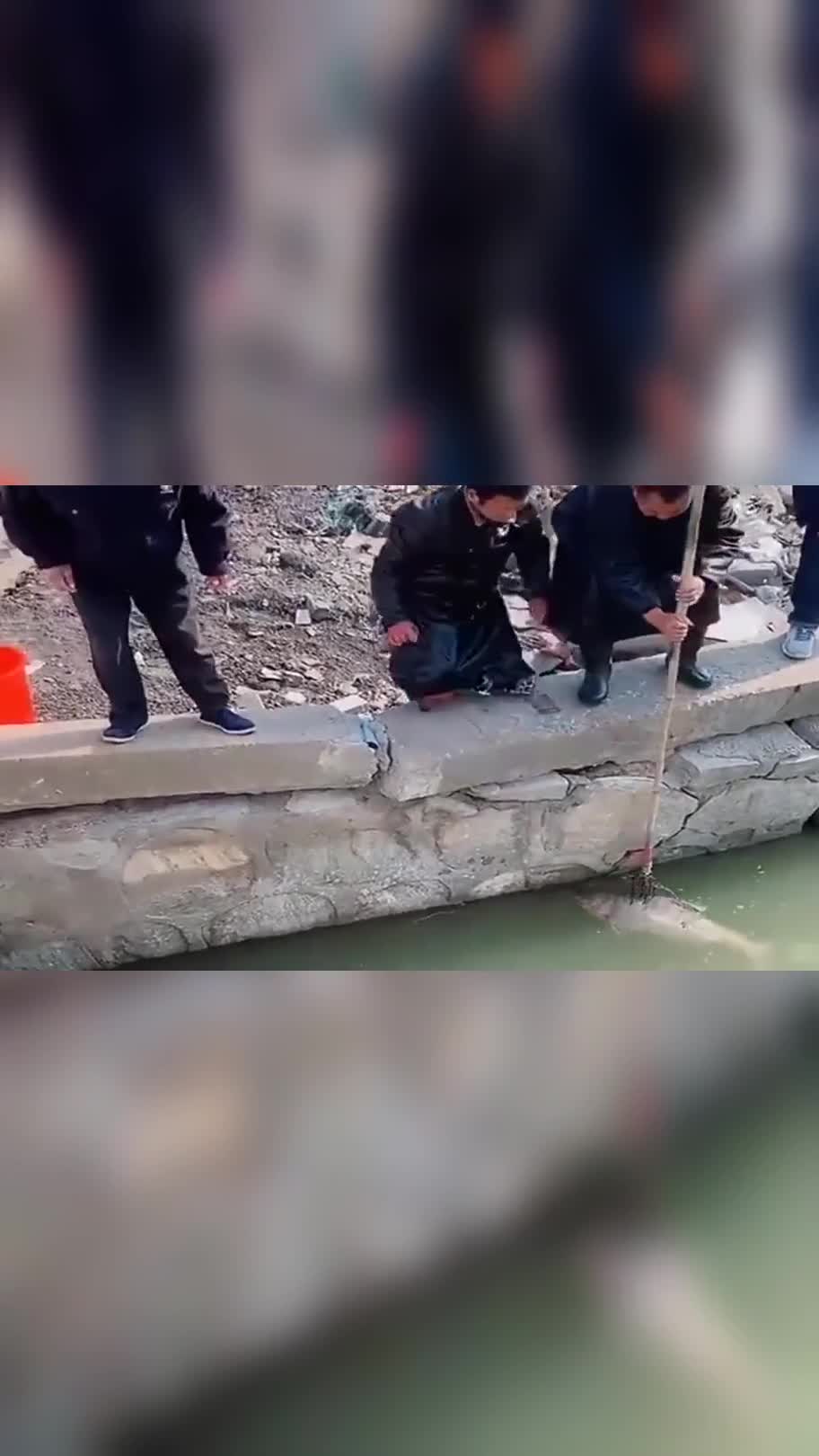 高手在民间!大叔用叉子就把大鱼给抓起来了,真狠啊!